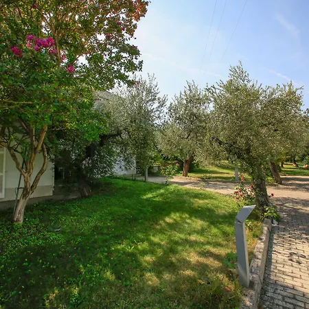 Arli Alojamento de Acomodação e Pequeno-almoço