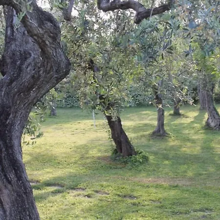 Arli Bed & Breakfast Torrevecchia Teatina