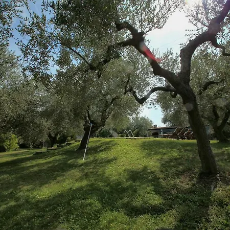Alojamento de Acomodação e Pequeno-almoço Arli