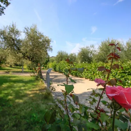 Bed & Breakfast Arli Torrevecchia Teatina