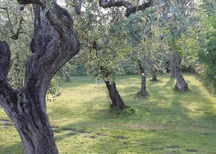 Arli Bed & Breakfast Torrevecchia Teatina