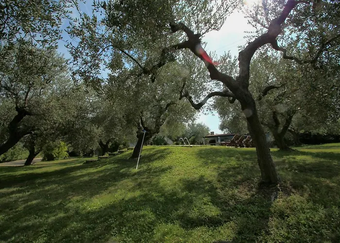 Bed & Breakfast Arli