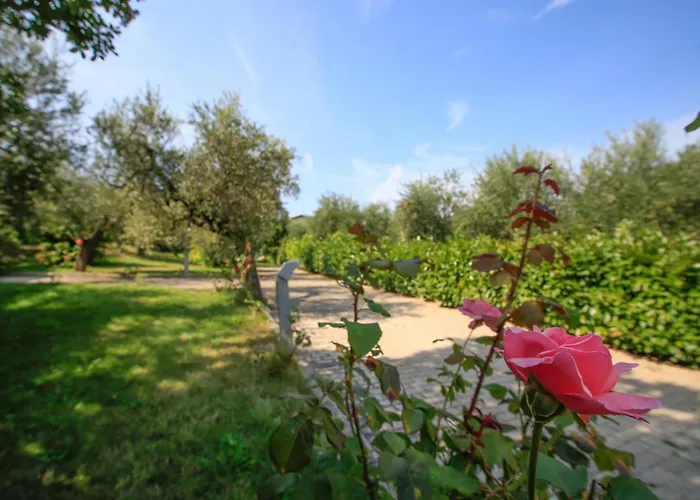 Bed & Breakfast Arli Torrevecchia Teatina